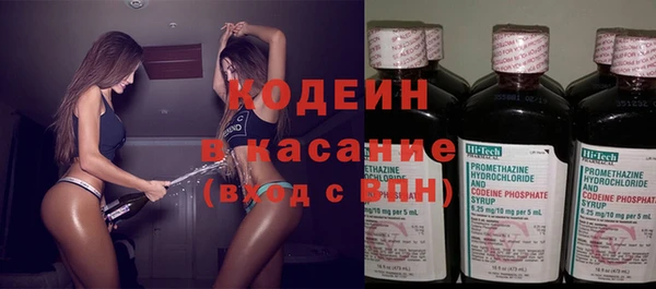 тгк Гусев