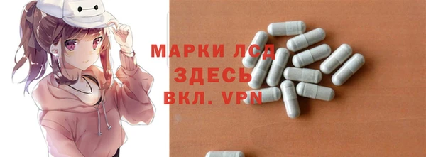 тгк Гусев