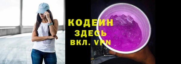 тгк Гусев