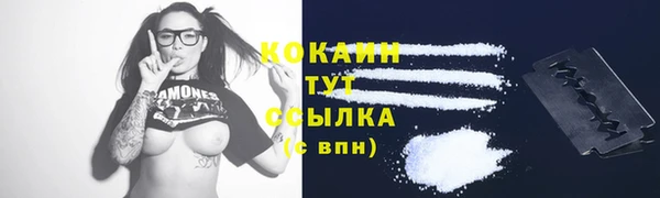 jwh Гусь-Хрустальный