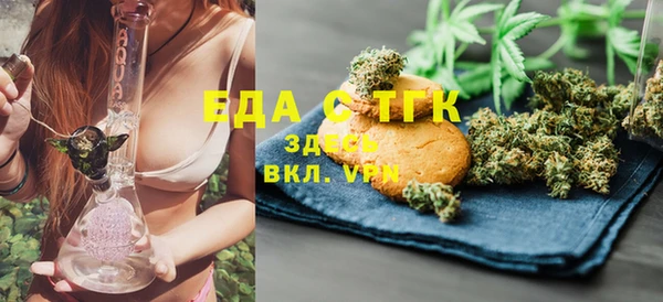 тгк Гусев