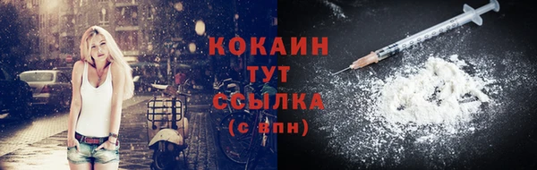 крисы Дмитров