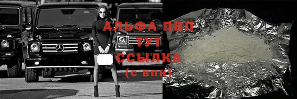 тгк Гусев