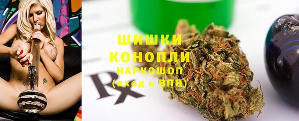 твердый Дмитровск